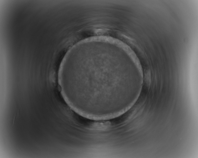 X0000089690571200707201722