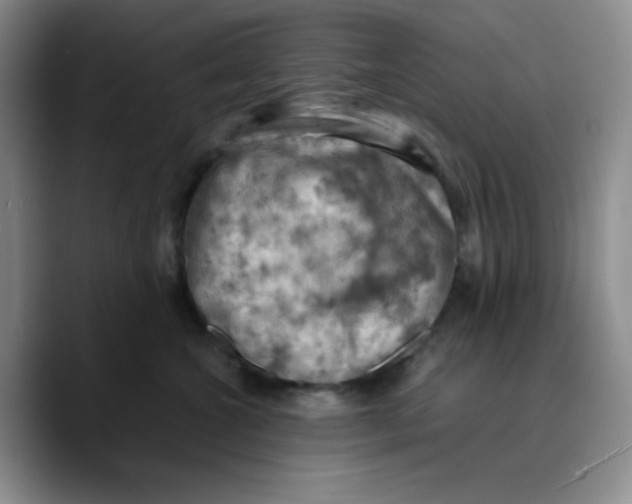 X0000089690572200707201722