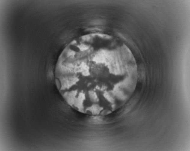 X0000089690573200707201722