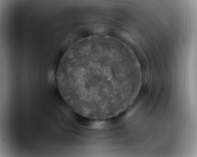 X0000089690575200707201722