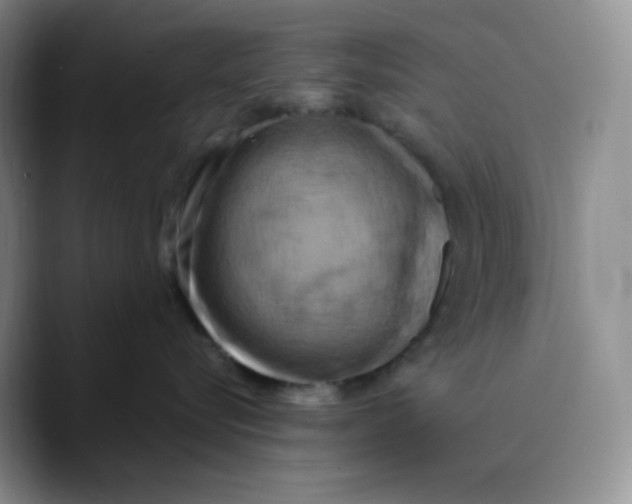 X0000089690576200707201722