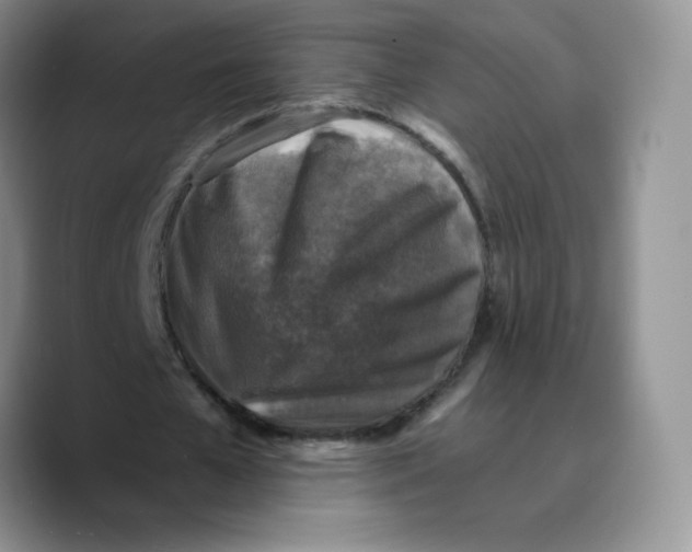 X0000089690577200707201722