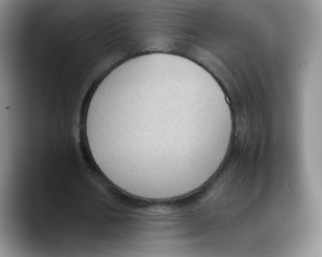 X0000089690578200707201722