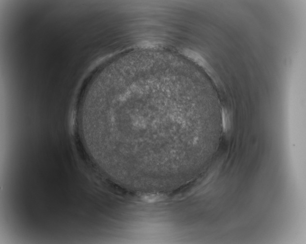 X0000089690579200707201722