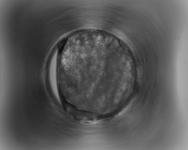 X0000089690580200707201722