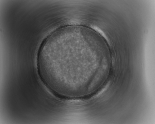 X0000089690581200707201722