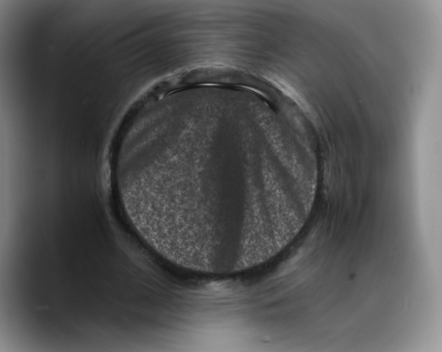 X0000089690584200707201722