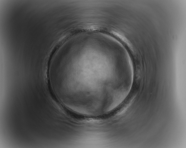 X0000089690585200707201722