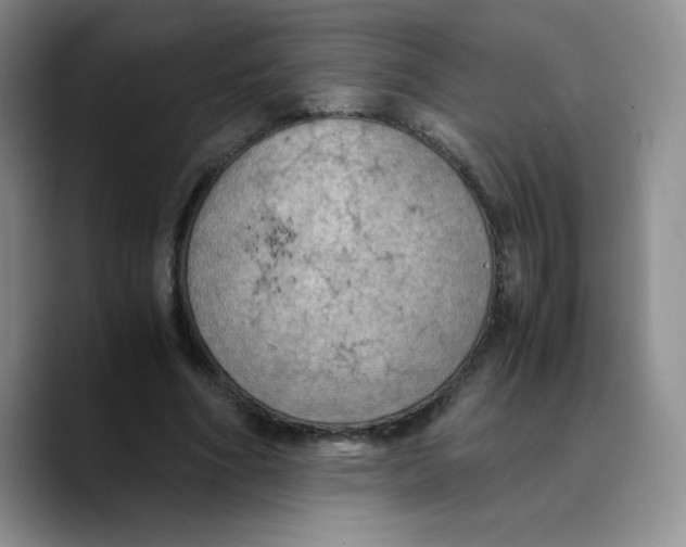 X0000089690586200707201722