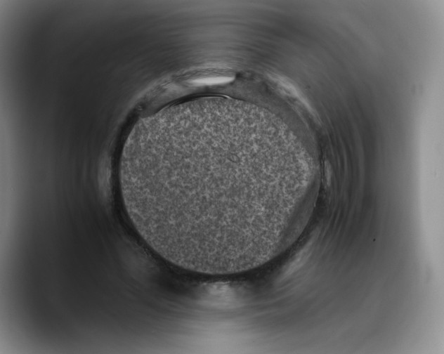 X0000089690588200707201722