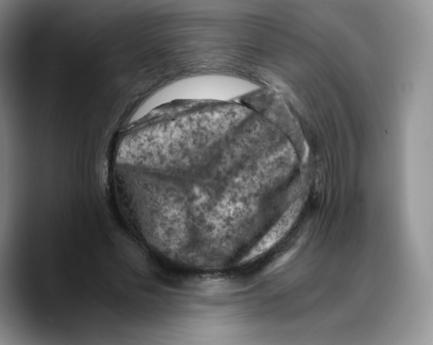 X0000089690589200707201722