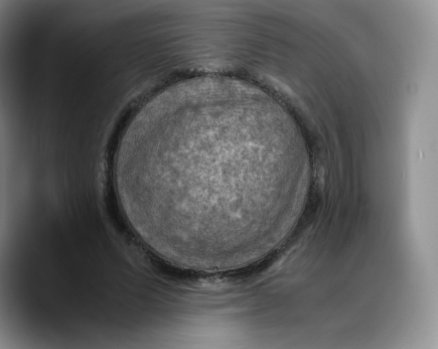 X0000089690591200707201722