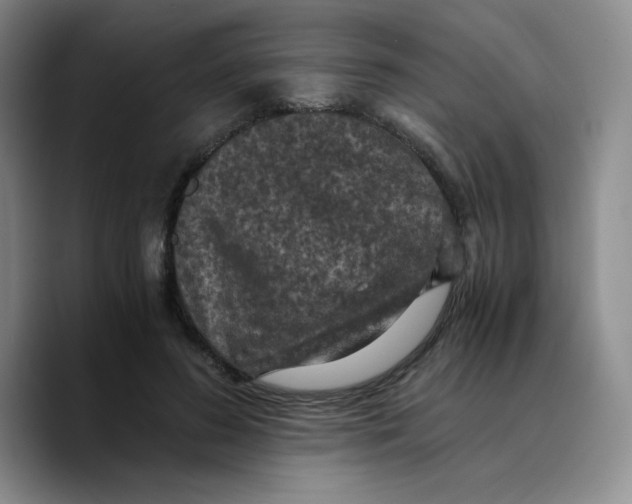 X0000089690596200707201722