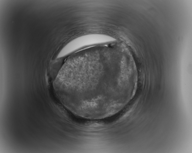 X0000089690597200707201722