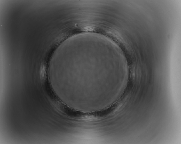 X0000089690598200707201722