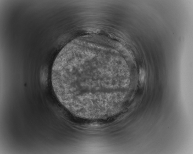 X0000089690600200707201722