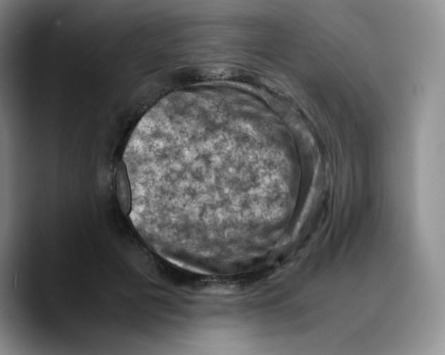 X0000089690601200707201721