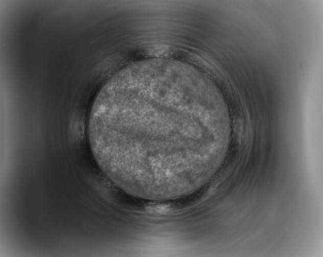 X0000089690602200707201721
