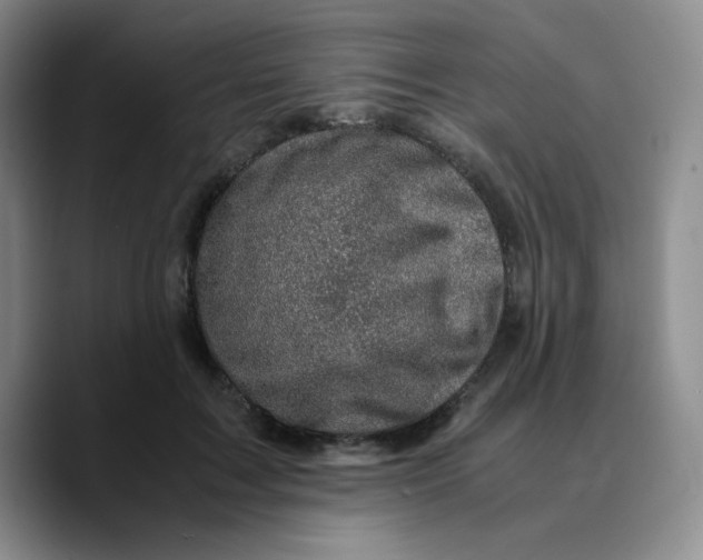 X0000089690603200707201721