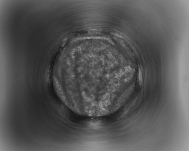 X0000089690604200707201721