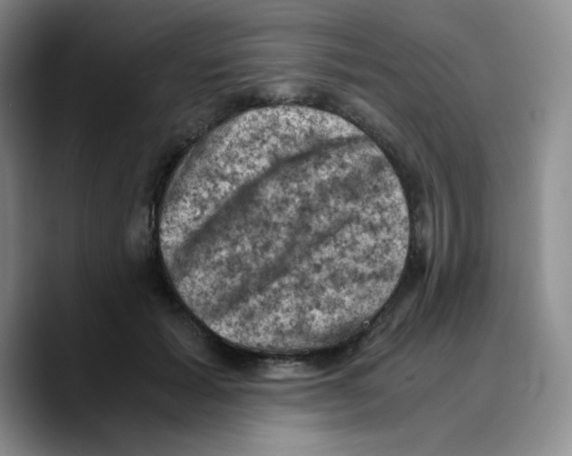 X0000089690605200707201721