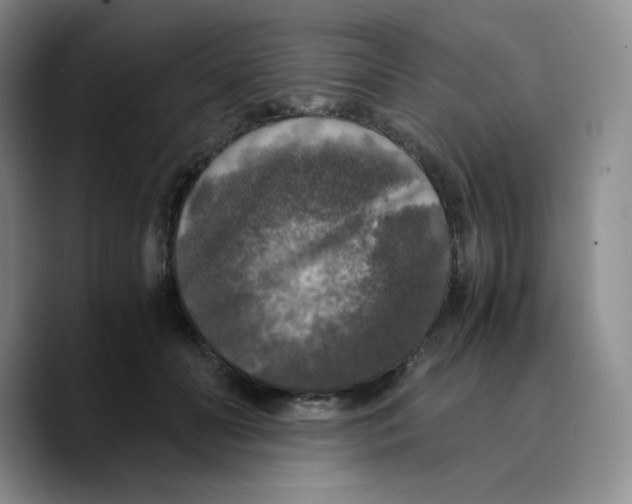 X0000089690606200707201721