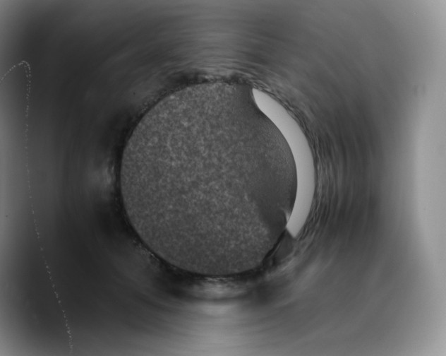 X0000089690608200707201721