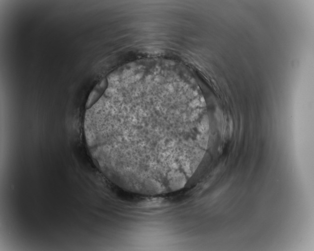 X0000089690609200707201721
