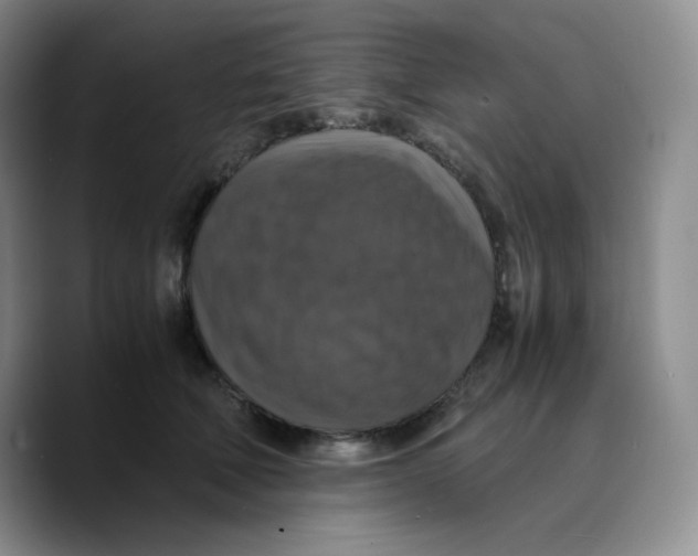 X0000089690610200707201721