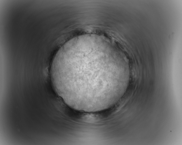 X0000089690611200707201721