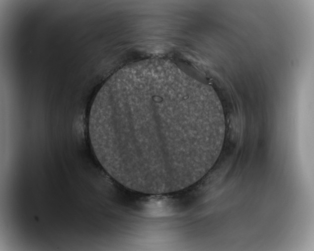 X0000089690612200707201721