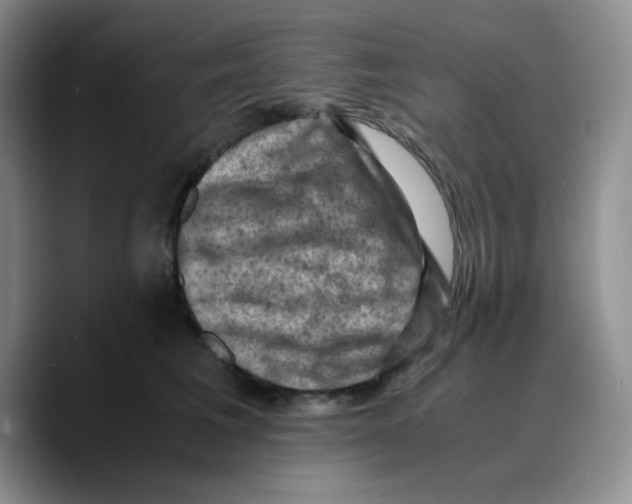 X0000089690613200707201721