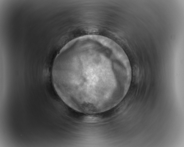 X0000089690614200707201721