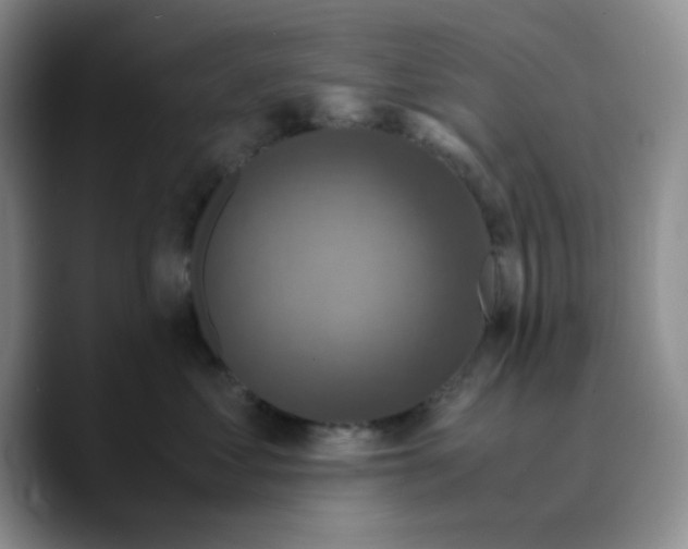 X0000089690621200707201721