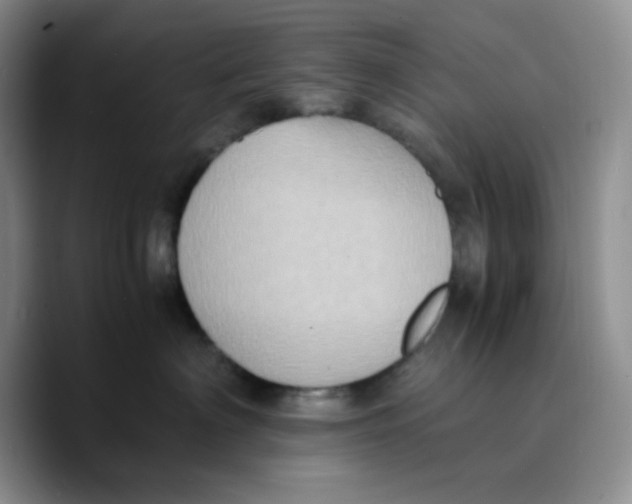 X0000089690622200707201721
