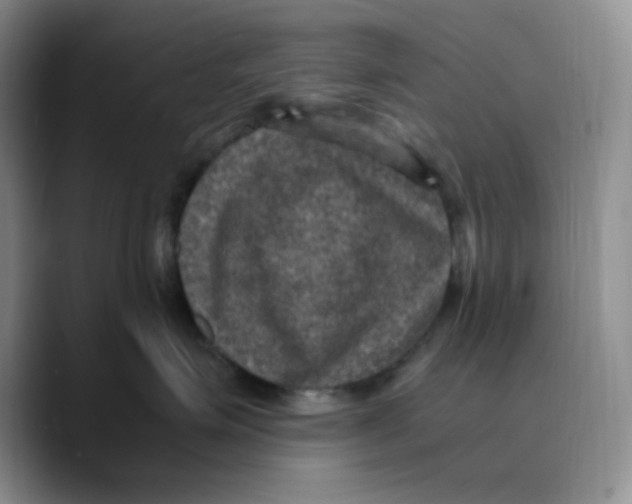 X0000089690623200707201721