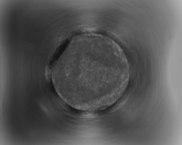 X0000089690624200707201721