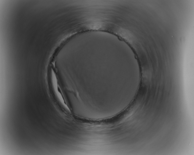 X0000089690626200707201721