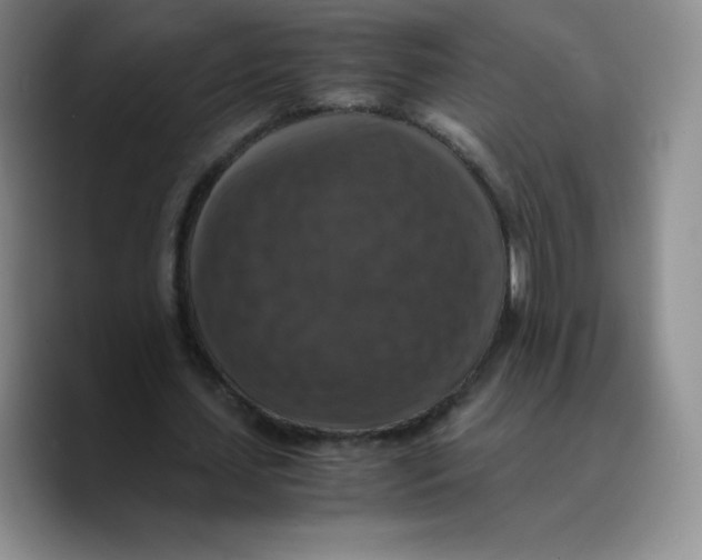 X0000089690627200707201721