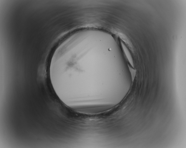 X0000089690628200707201721