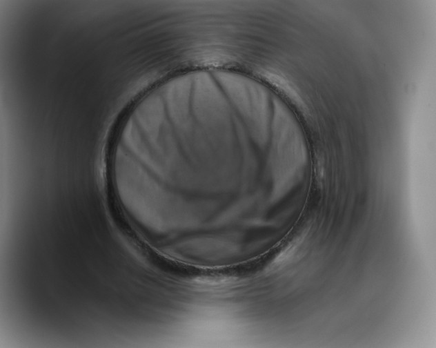 X0000089690630200707201721