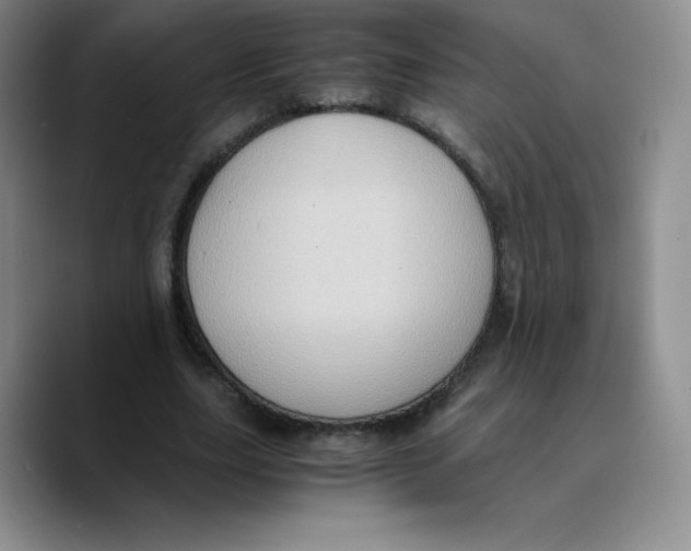 X0000089690631200707201721