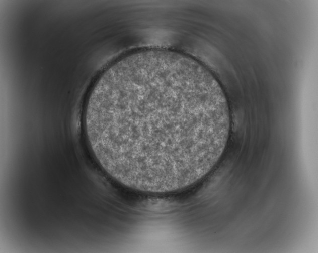 X0000089690632200707201721
