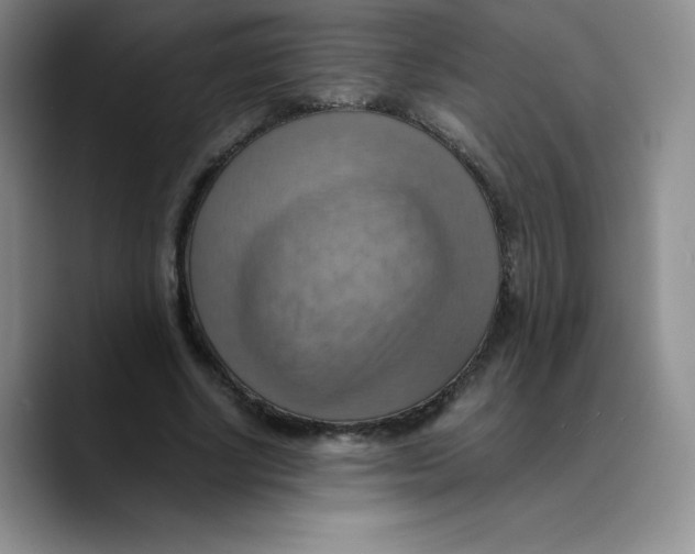 X0000089690634200707201721