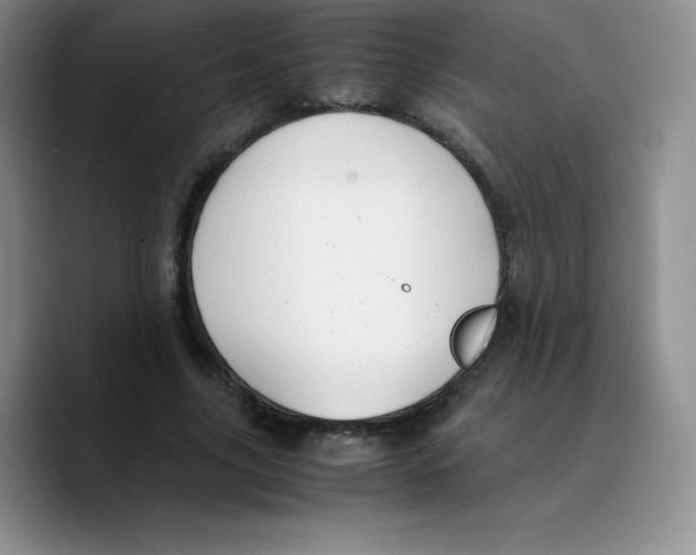 X0000089690635200707201721