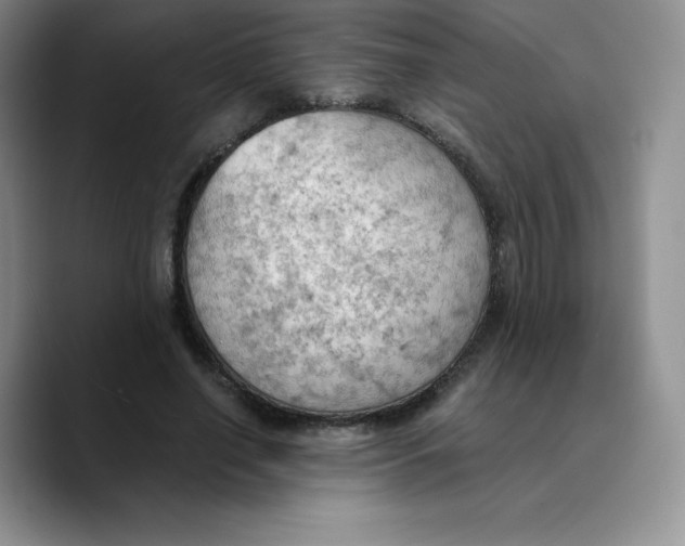 X0000089690638200707201721