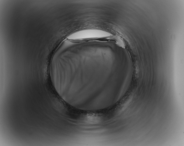 X0000089690641200707201721