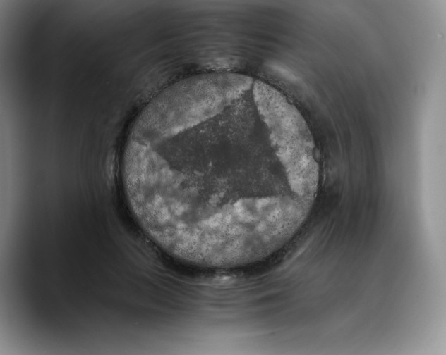 X0000089690647200707201721