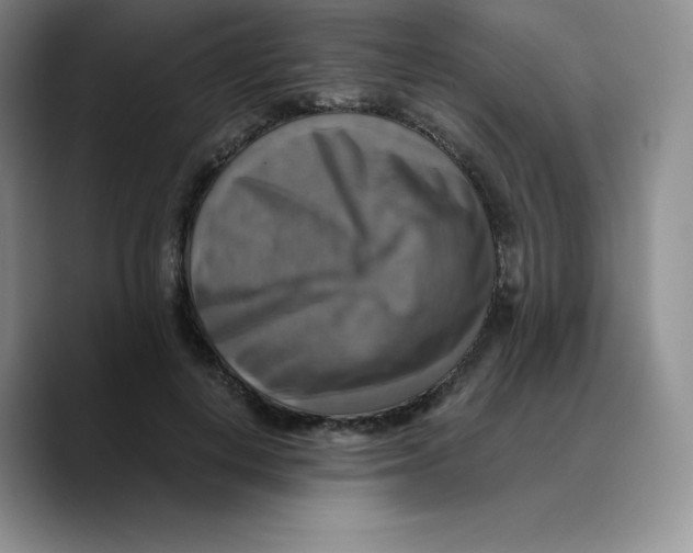 X0000089690648200707201721