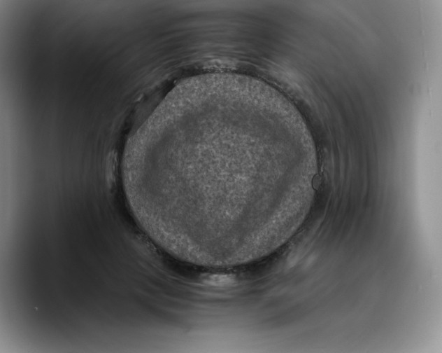 X0000089690649200707201721